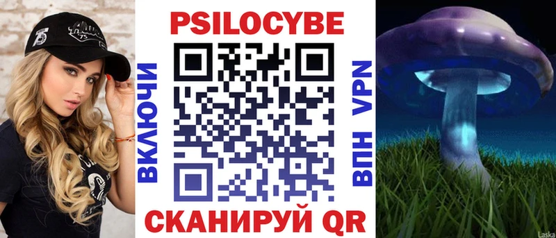 Псилоцибиновые грибы Psilocybine cubensis  Калуга 
